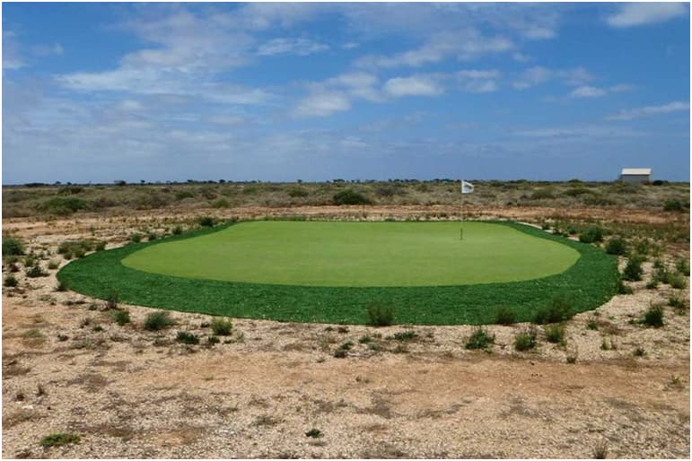 Nullarbor Links: The World's Longest Course
