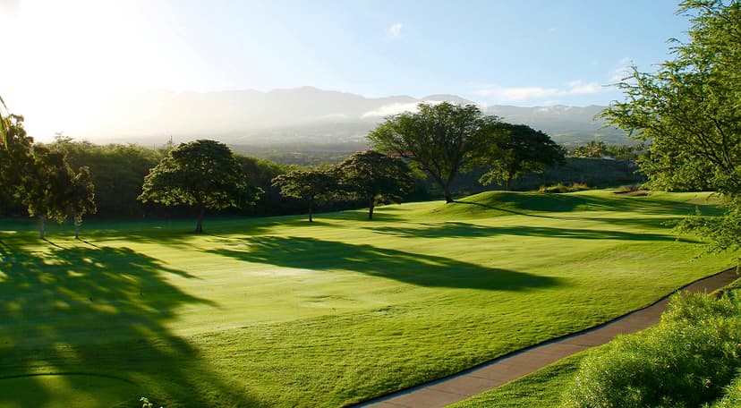 Slow Play: The Silent Killer of PGA Tour Viewing Ratings
