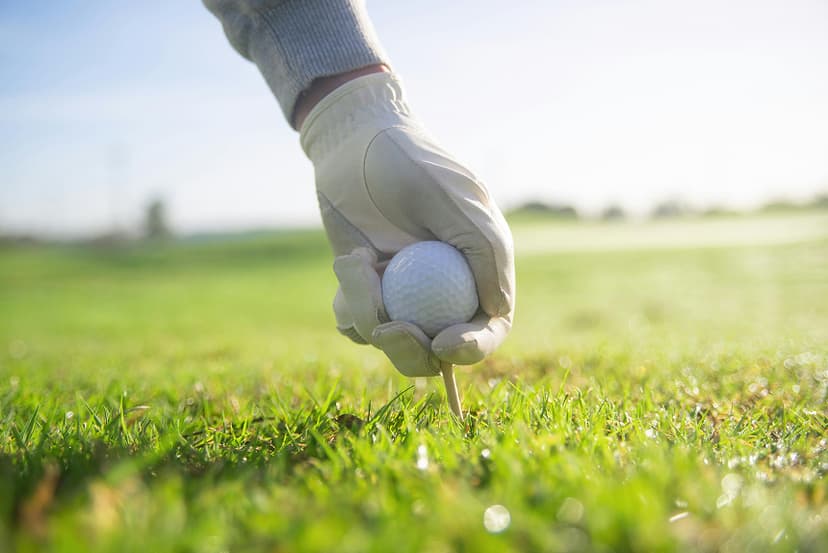 The Technology Behind Cabretta Leather Golf Gloves