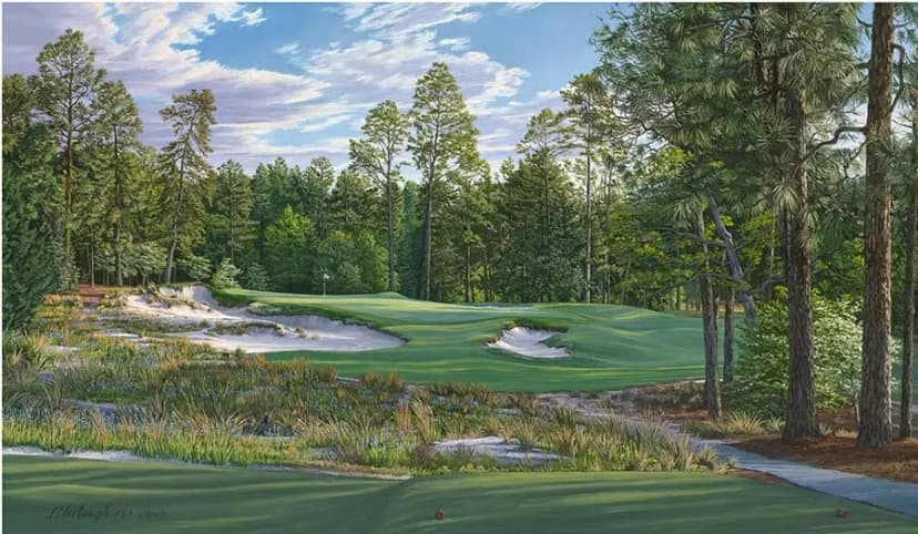 VPAR Review - US OPEN